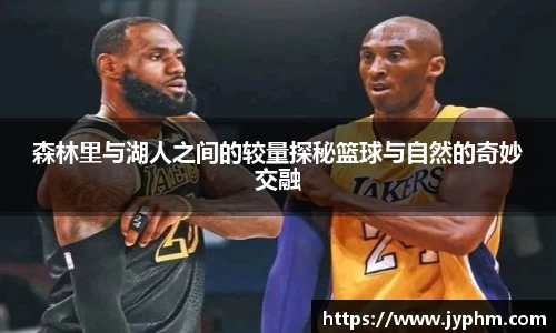 BoB半岛·体育中国官方网站