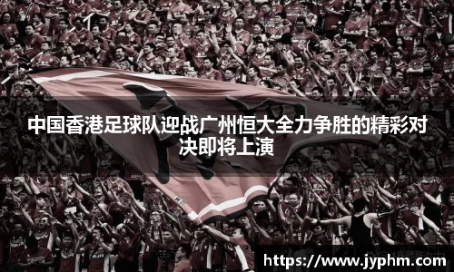 BoB半岛·体育中国官方网站