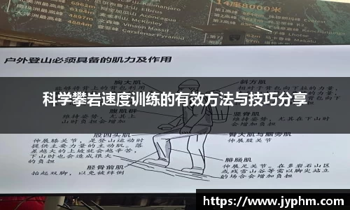半岛bob·官方